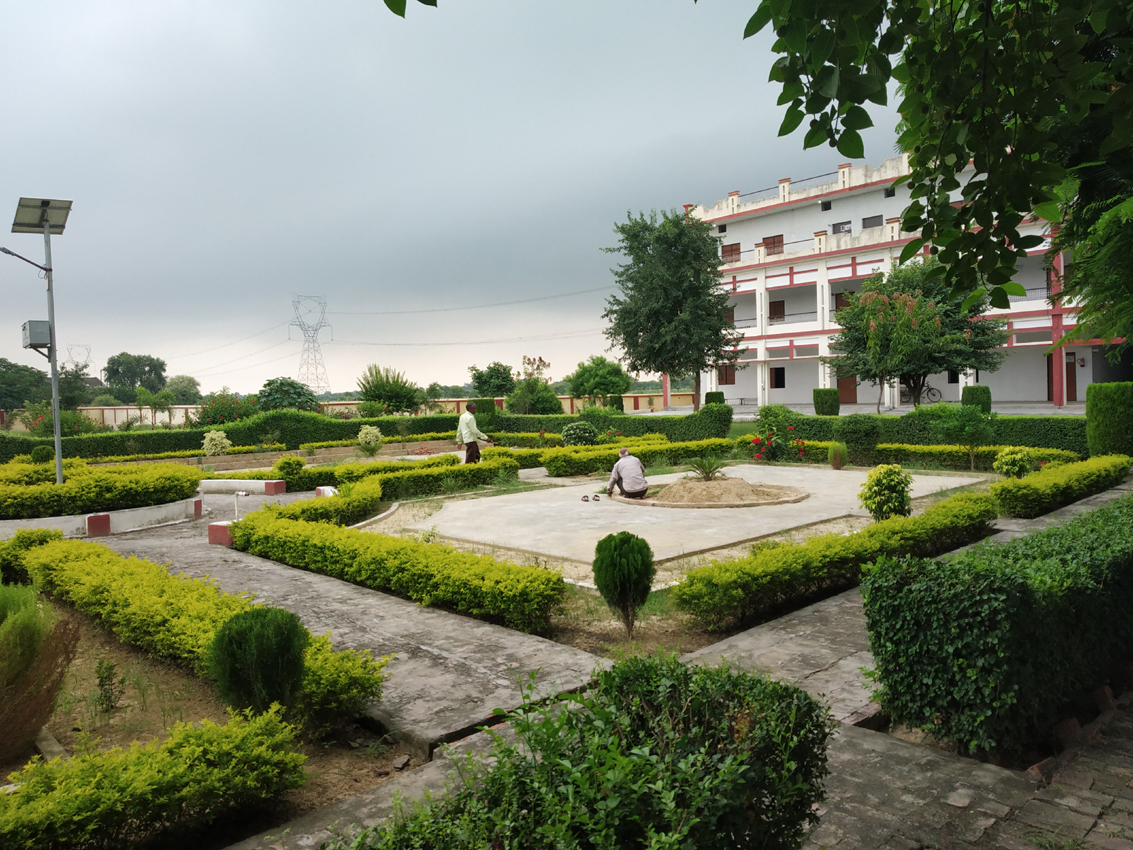 Front view of garden