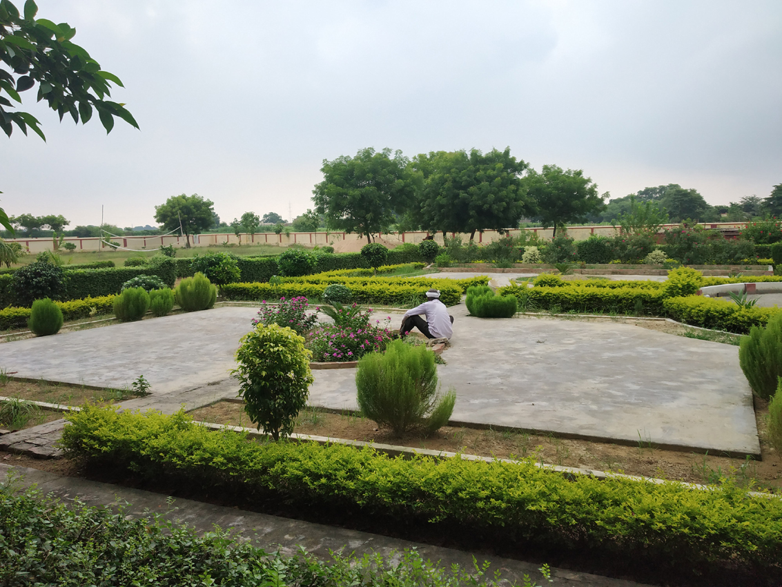 Side view of garden